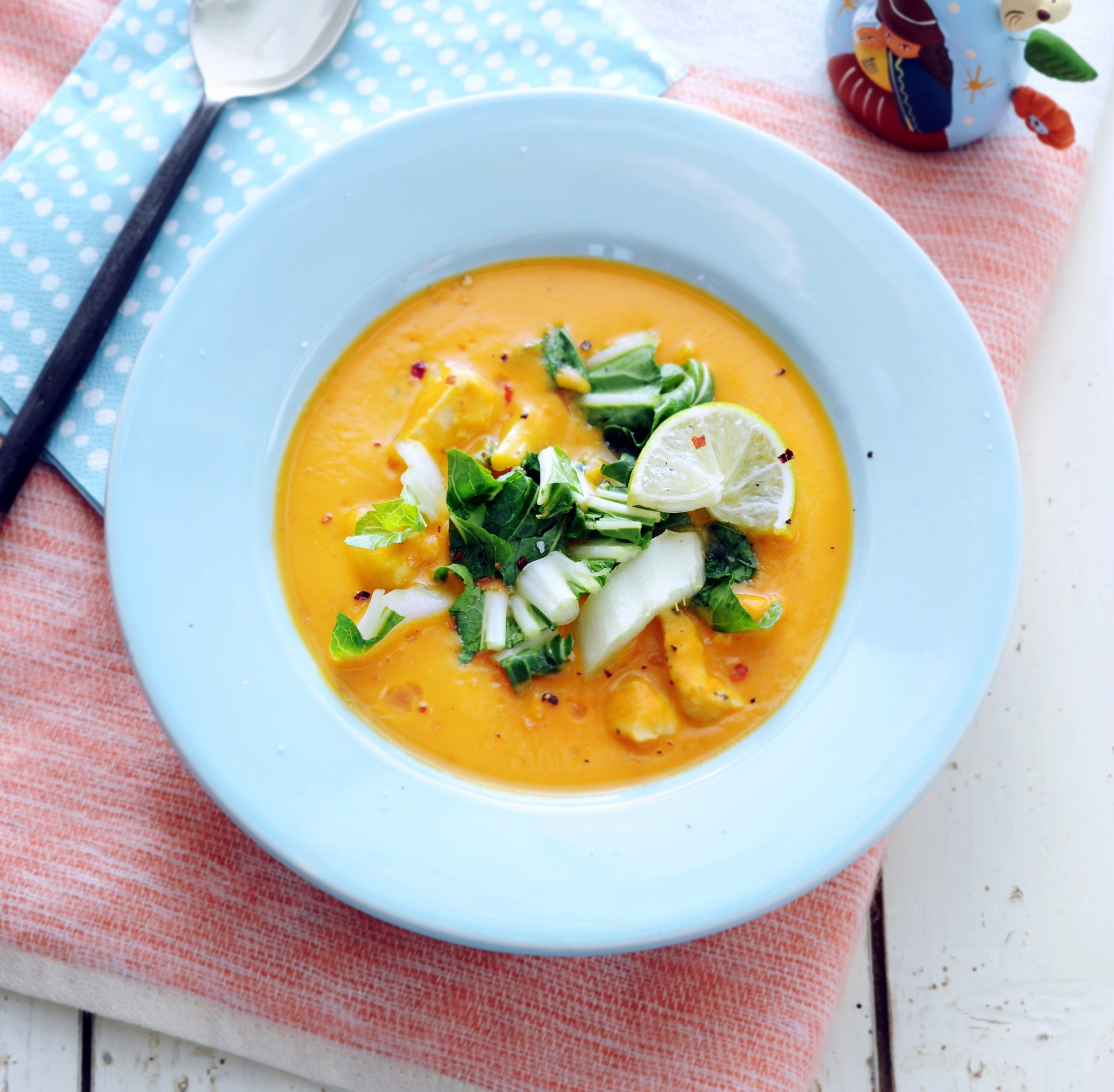 Maaltijdsoep van Zoete Aardappel, Rode Curry en Kokosmelk