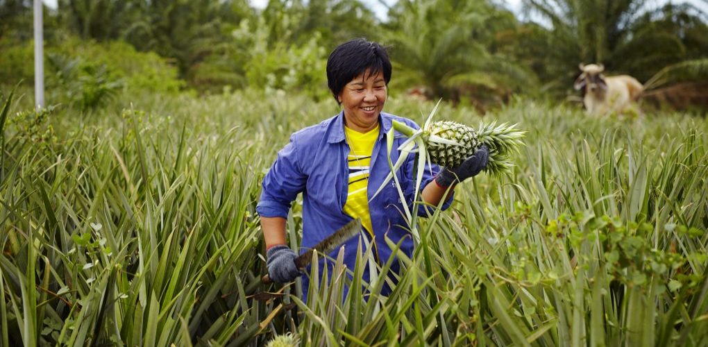 Khun Nipalin met ananas