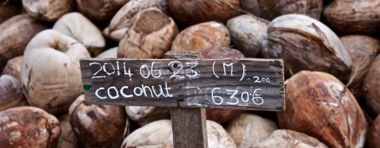 Biologische kokosmelk