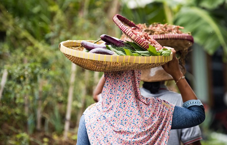 Jaarverslag 2018 Fairtrade Original Indonesie