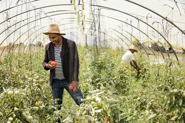Fairtrade Original - tomatenboer in Marokko