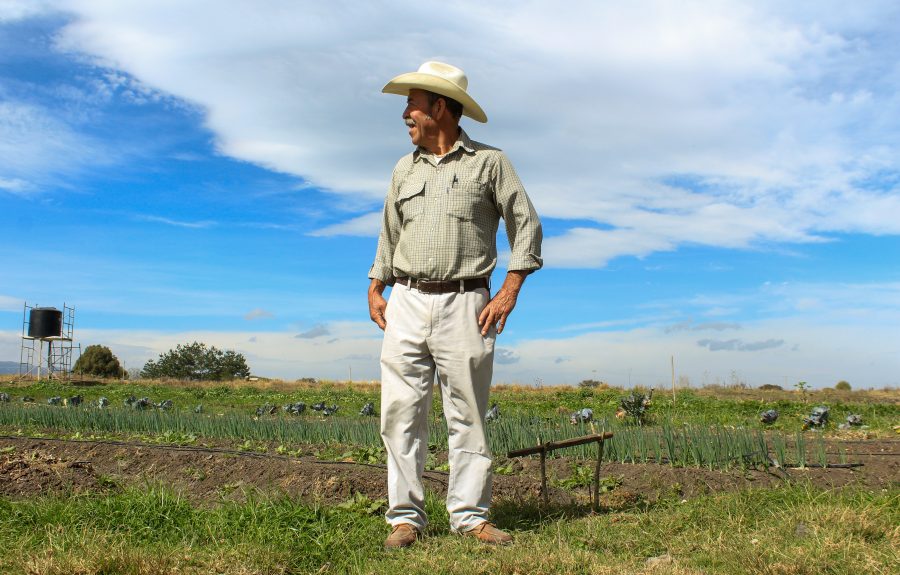 Fairtrade Original, boer in Mexico
