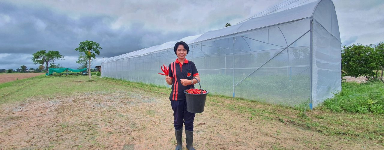 Khun Orachan bij een van de kassen