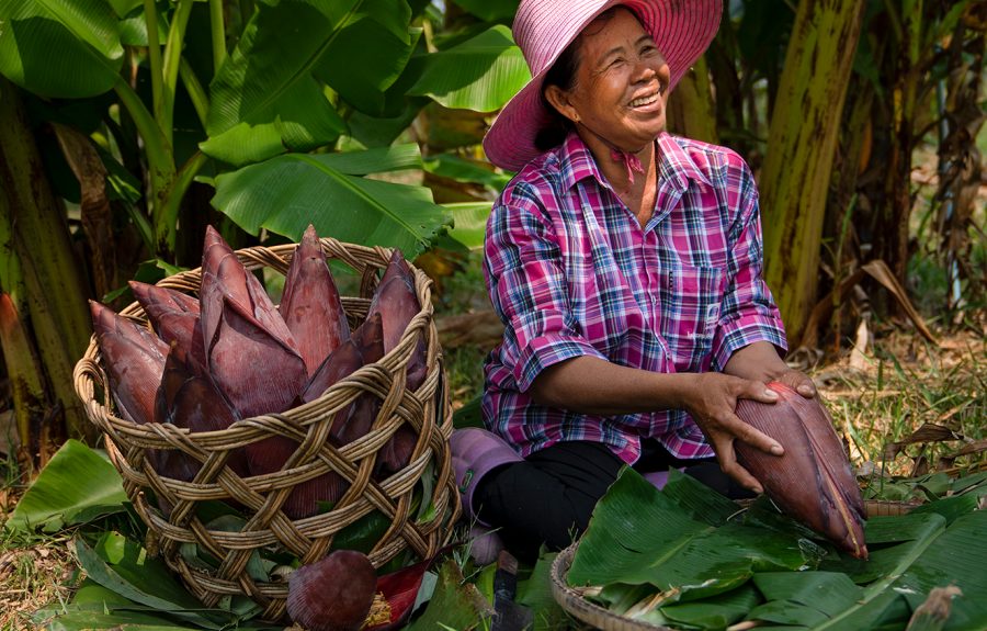 Bananenbloesem boerinnen - Fairtrade Original