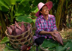 Bananenbloesem boerinnen - Fairtrade Original