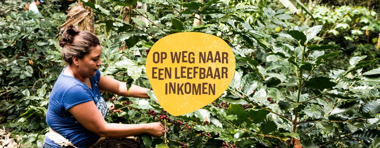 Fairtrade Original koffie op weg naar een leefbaar inkomen