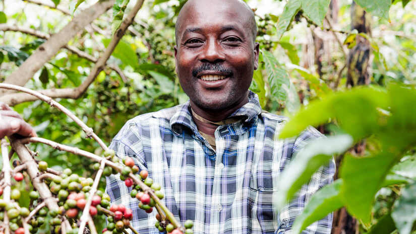 Koffieboer Bernard